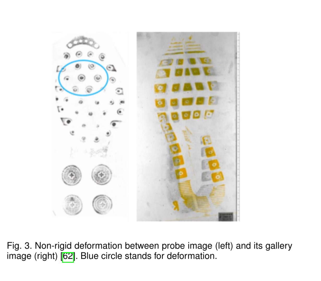 [1901.01431V1] Forensic Shoe-Print Identification: A Brief Survey ...