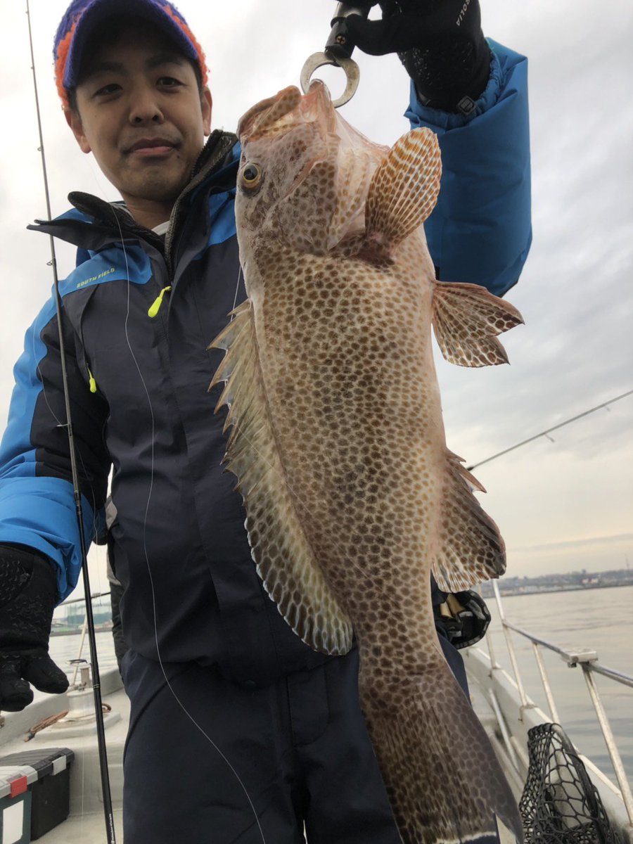 GearLab_jp's tweet photo. 錦江湾マイクロジギングで、オオモンハタを筆頭にマダイ、イトヨリなど様々な魚を数釣りです☆
マイクロフリップ35gアワビシルバー
フリップ30gイワシ
いずれも人気色です🌅
#マイクロフリップ #microflip
#フリップ #flip
#マイクロジギング #microjigging
#釣り #fishing
#ギアラボ #gearlab
#鹿児島 https://t.co/buwlcXAuAx