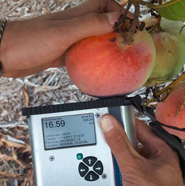GoodFruitandVeg's tweet photo. Good weather and a nifty piece of technology have combined to produce a bumper crop of tasty fruit this season. https://t.co/iBkL9gOUd5 https://t.co/Gm8gXZvZlb