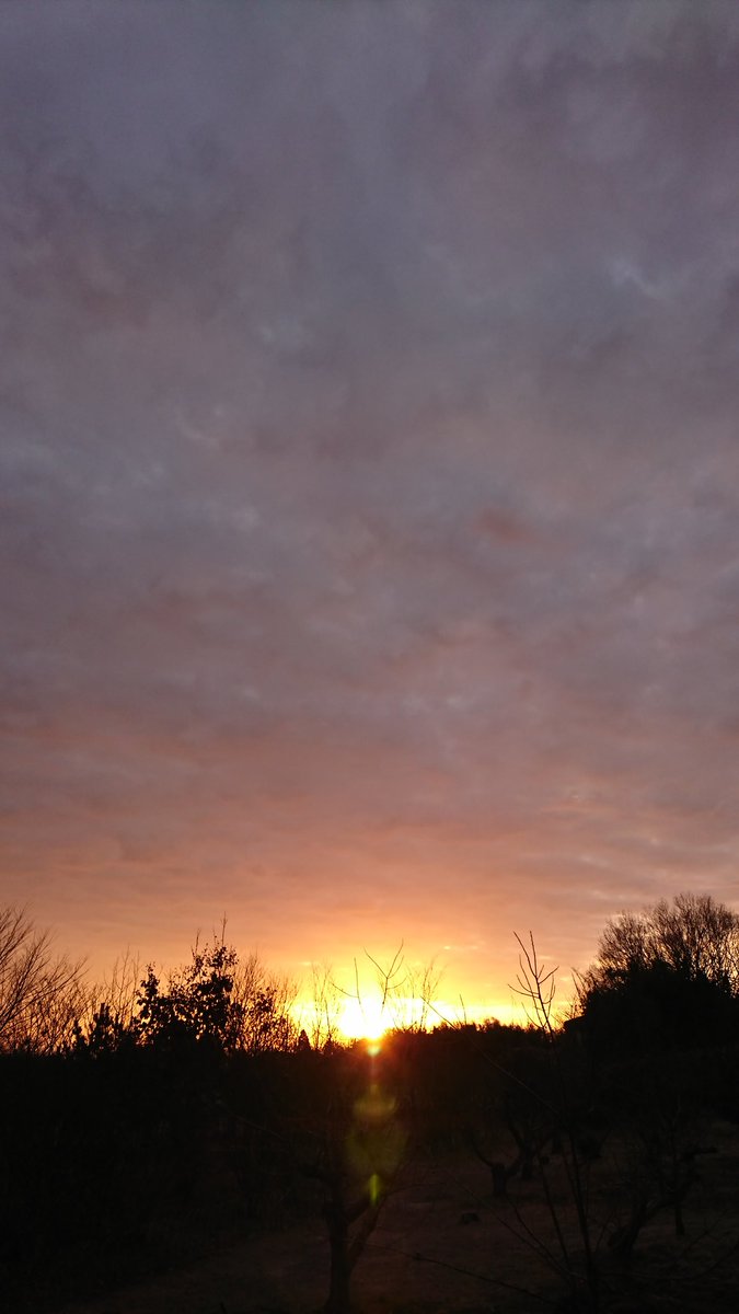 hiromimorita2's tweet image. こんにちは😊
霜降りて朝焼けうっとりの朝🌄
昨日ランチで食べたエビフライ
サクッ身はぷりっとジュウシー
美味でした🍤
感謝の心に優しい笑顔で
好意に答えるには努力をもって☆
給食会に招待されたので
行ってきます☺
柔らかな午後をね😊❤️🍀💞
#日の出倶楽部 
#朝焼け 
#シクラメンの花 
#ランチ