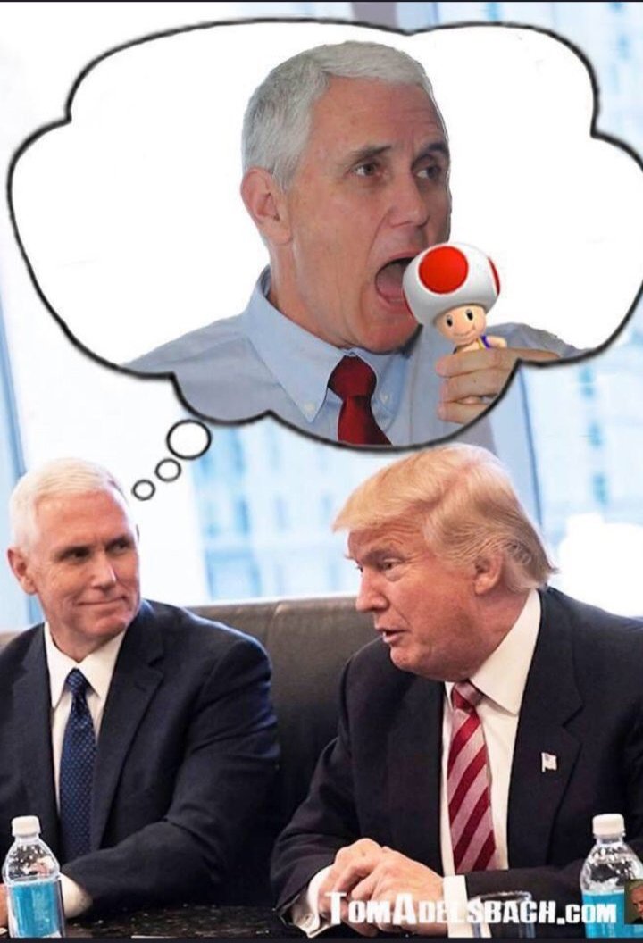 Trump vice-president be like I'm going to suck this man's dick