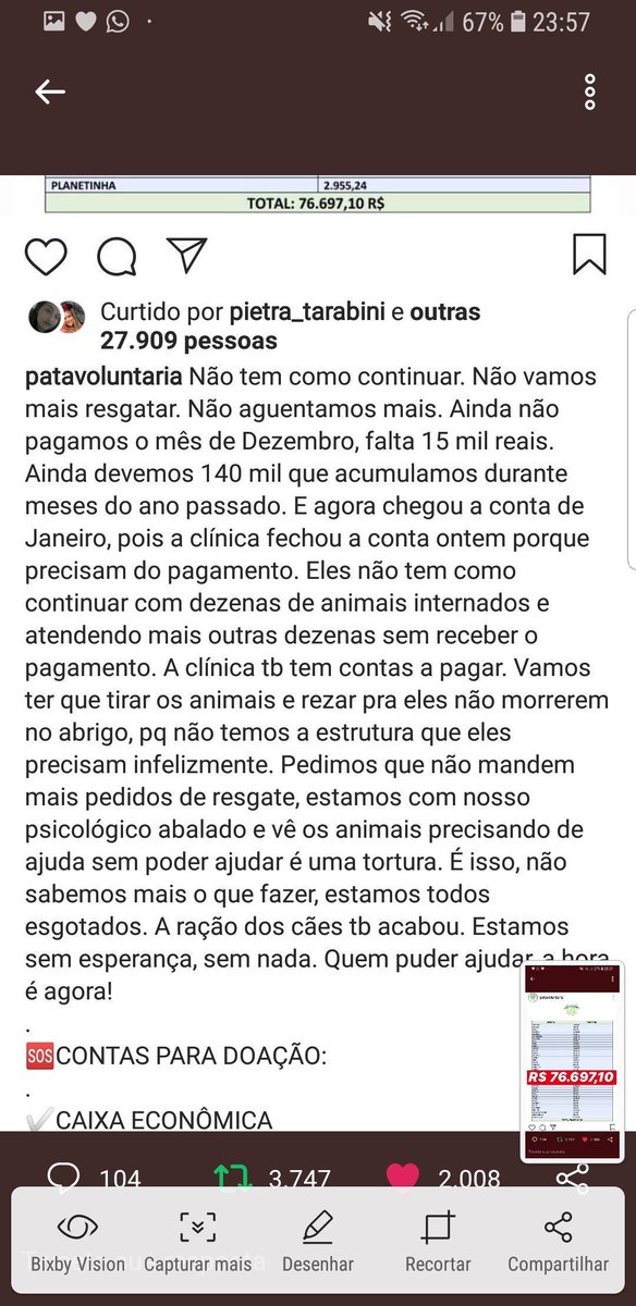 🐾 tweet media