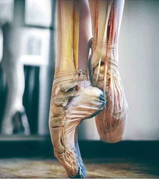 SissiDanccademy's tweet image. Bailar es como soñar con tus pies.-Constanze. #dance #ballet #pointwork #puntas  #dancer