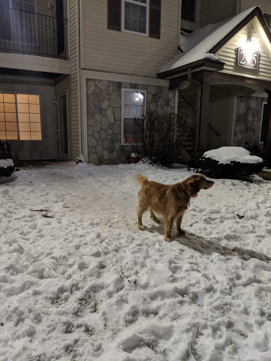 Valeria Dumas tweet media