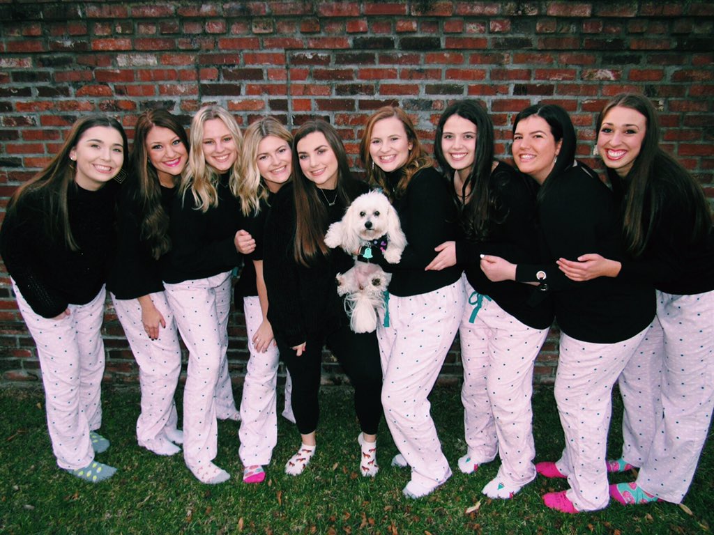 E-board sure is ready for Paws for a Cause coming up on February 3rd!! We hope to see y'all &amp; the cute pups out there :]]]  #deltazetanichollsstate