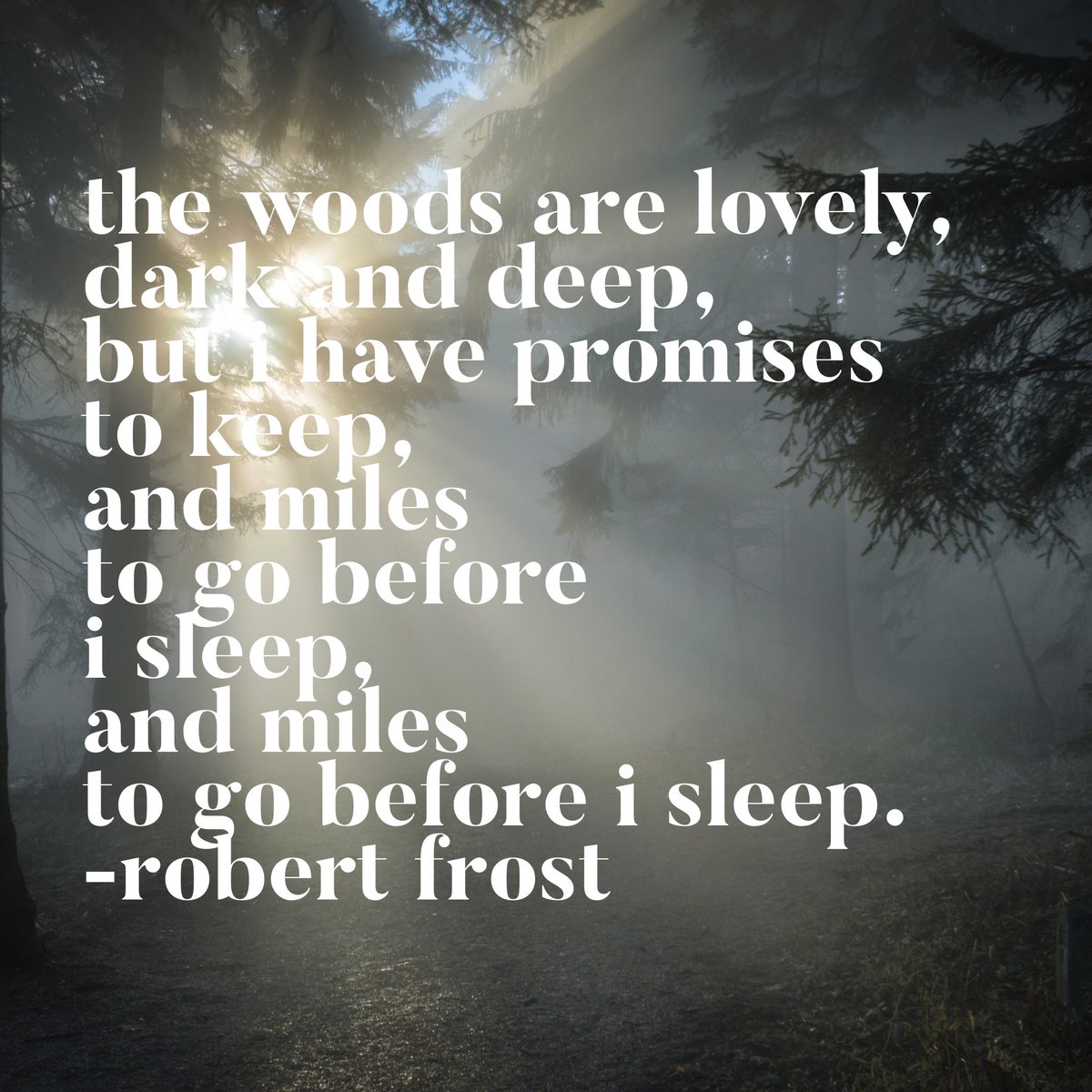 Growing up, the woods was my safe space. Inhaling the sweet smell of pine mixed with the damp forest floor always made me feel so secure. Do you have a favorite smell from childhood?