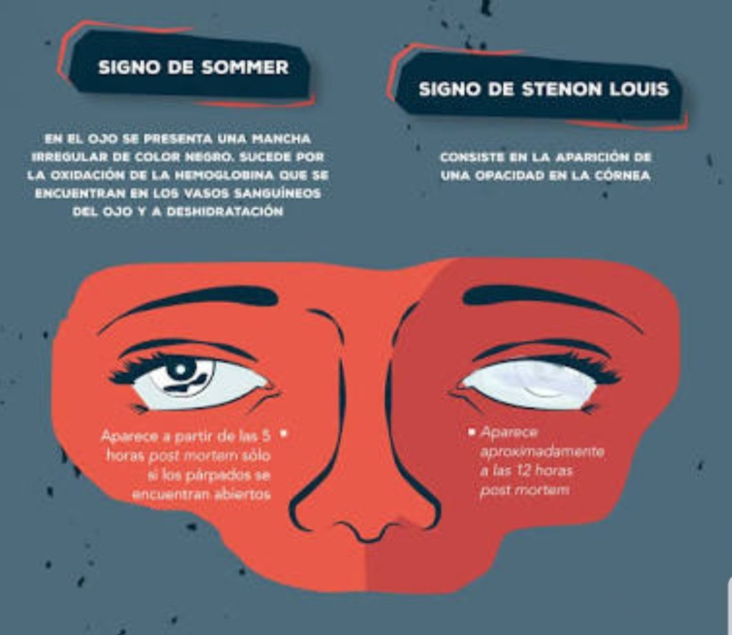Alberto Na Tviteru Los Ojos Tienen Un Brillo Que Habla De Vida Es Facil Saber Si Alguien Esta Triste Por Ojos Y Cuando Alguien Muere Los Ojos Pierden Ese Brillo