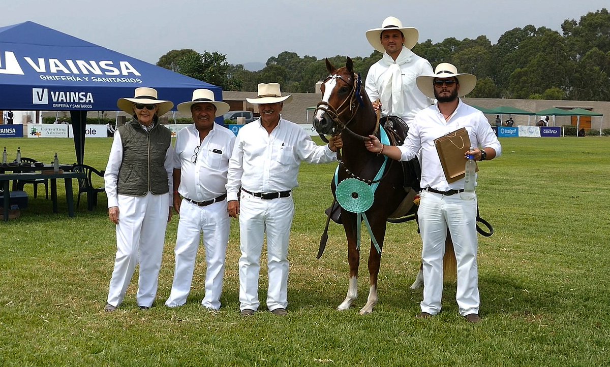 AncpcppP's tweet photo. LXVII CONCURSO REGIONAL DEL CABALLO PERUANO DE PASO SAN PEDRO DE MALA 2019.
Categoría: Capones de Bozal de 3 a 4 años - Premio al Mejor Capón Presentado de Bozal
Primer Puesto: MANM Joven Genio -TE
Propietario: Mario Andrés Mustafa Artadi https://t.co/3ZdpAUAavj