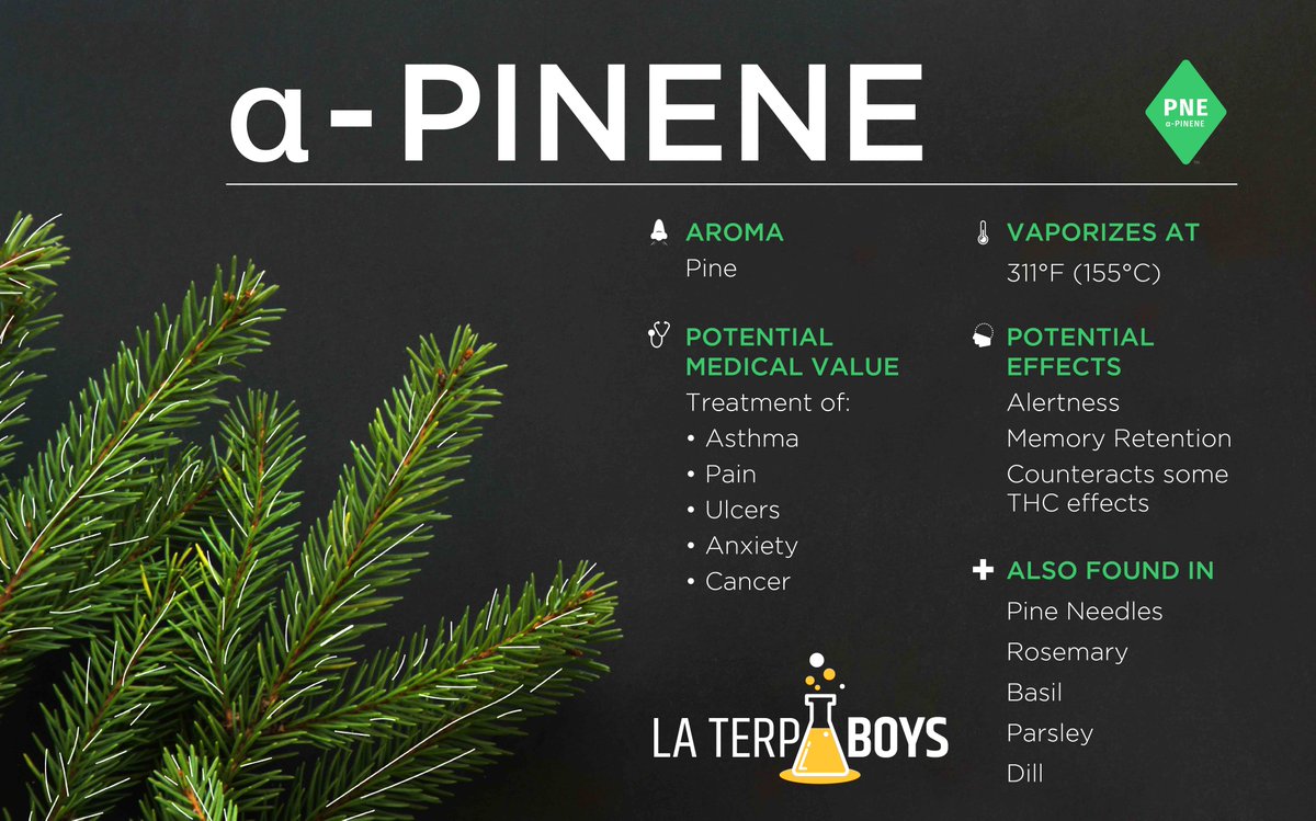 la_terp's tweet photo. a-PINENE #terp #terpenes https://t.co/78rcTYRSug