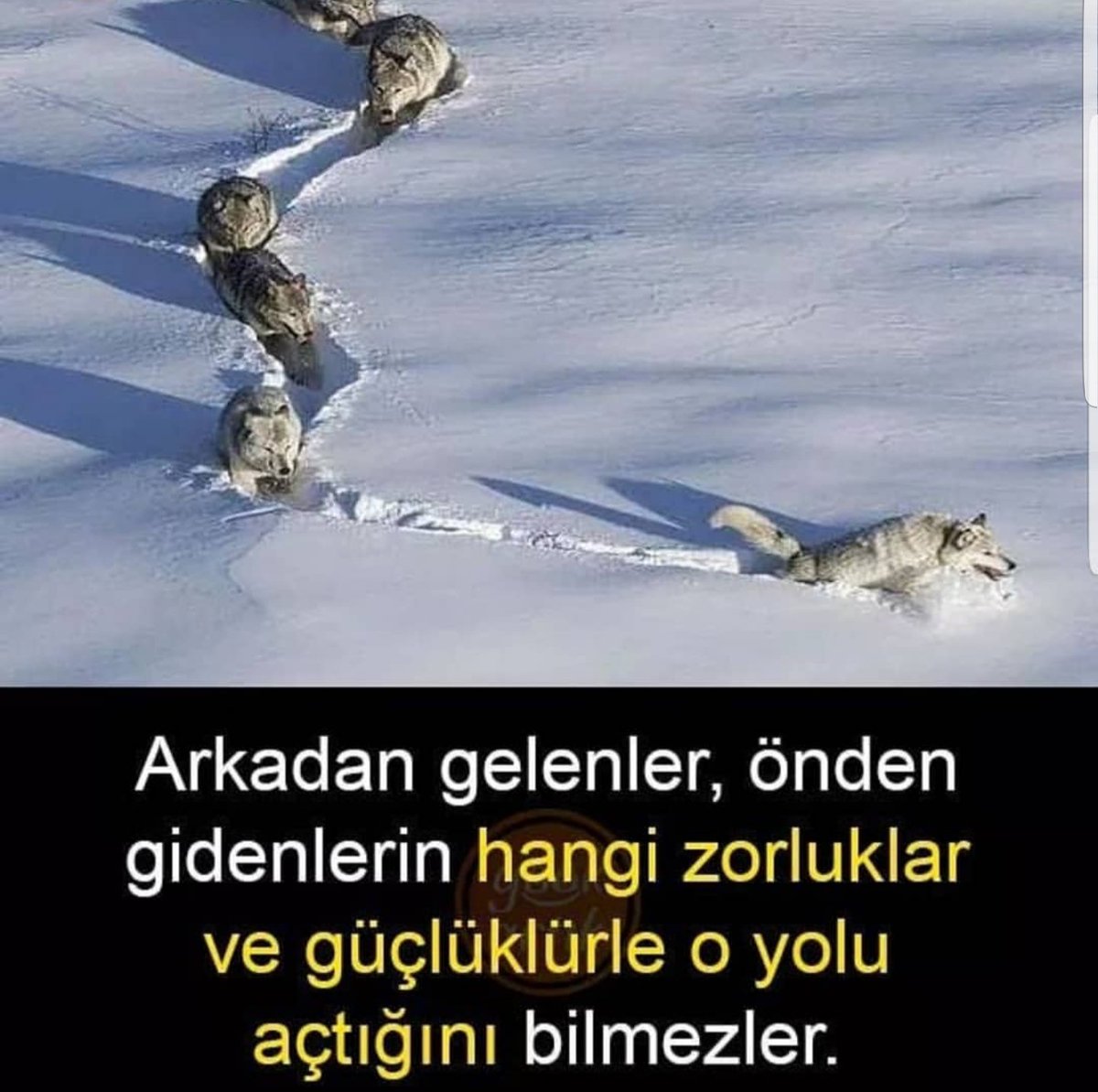 ENGINCANERKIN's tweet photo. Günaydın  ne zorluklarla mücadele etiğimizi kimse bilemez EsesTemsili #Eskişehirspor #eses #neferler #bizimÇocuklar #kırmızışimşekler https://t.co/IXgJsHjcRY