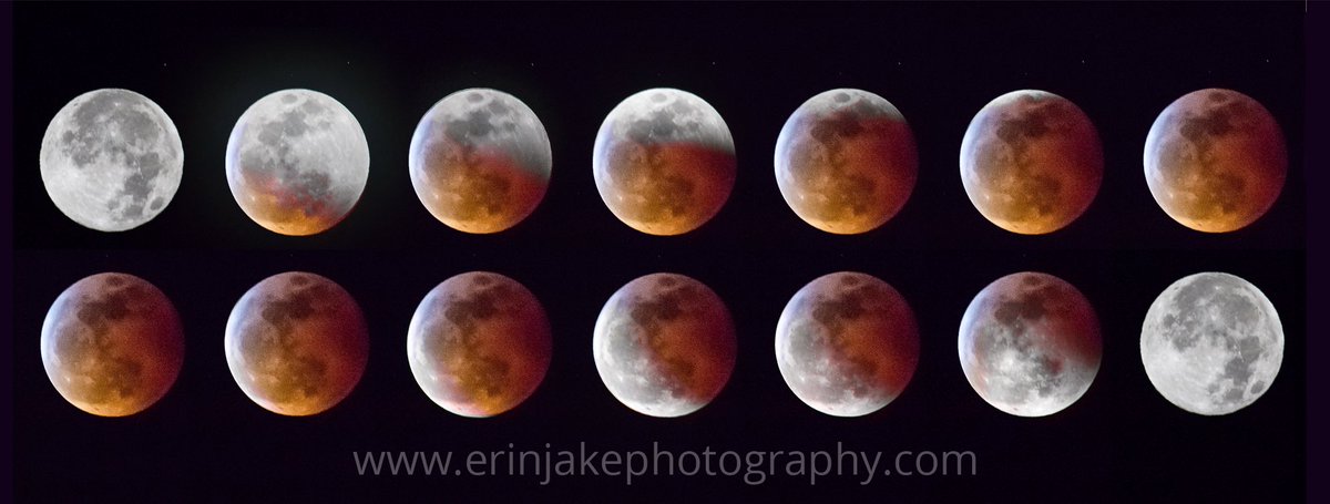 ErinJakePhotos's tweet photo. Super Blood Wolf MOON 2019
📍 #Hollywood #California 
©️https://t.co/hB9N9BGa7T
.
#bloodmoon #bloodmoon2019 #BloodMoonEclipse #WolfMoon #MondayMotivation https://t.co/156YpheOMt