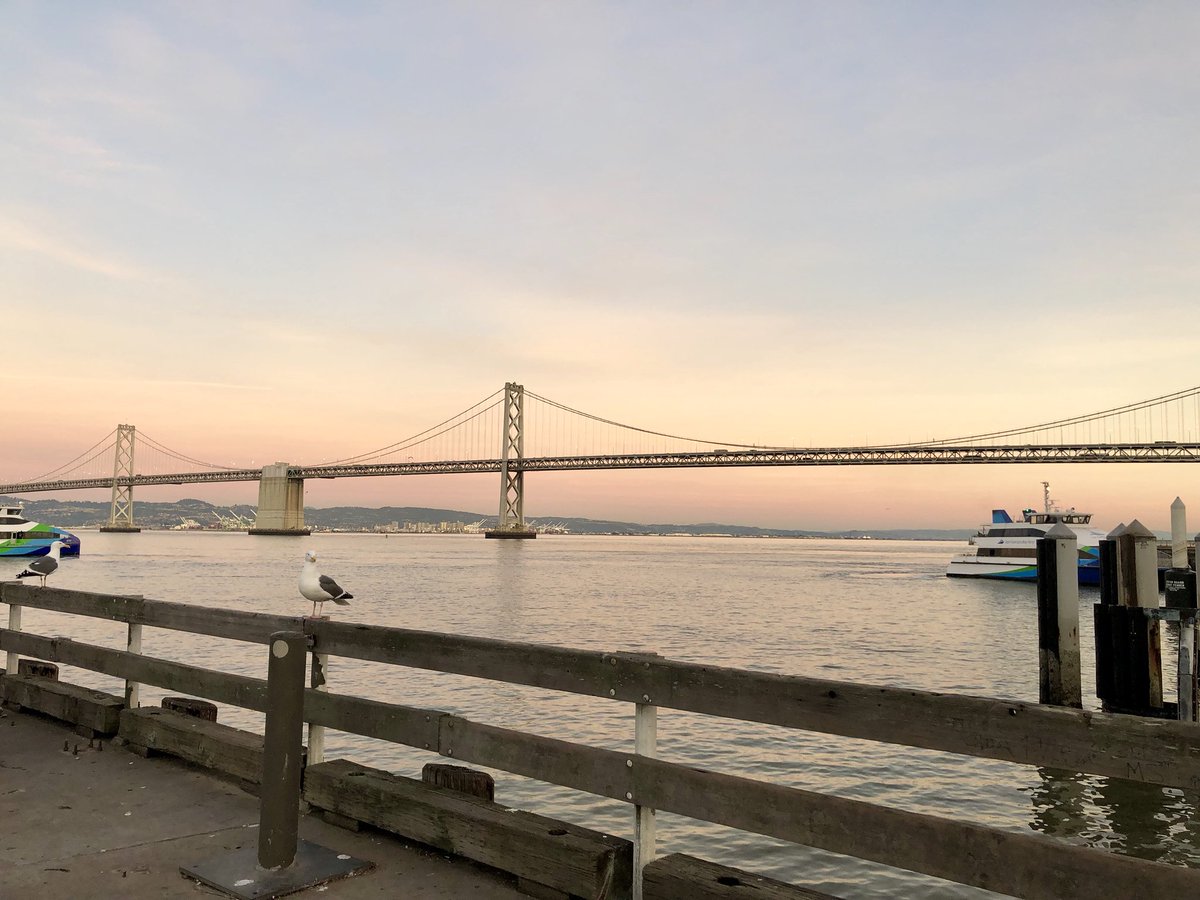 _AlmaTamayo's tweet image. Building bridges between special ed and general ed to enhance co-teaching opportunities and student success 🌉 #coteachingthatworks #D73inspires #coteachat  @annebeninghof @bureauofed @District_73