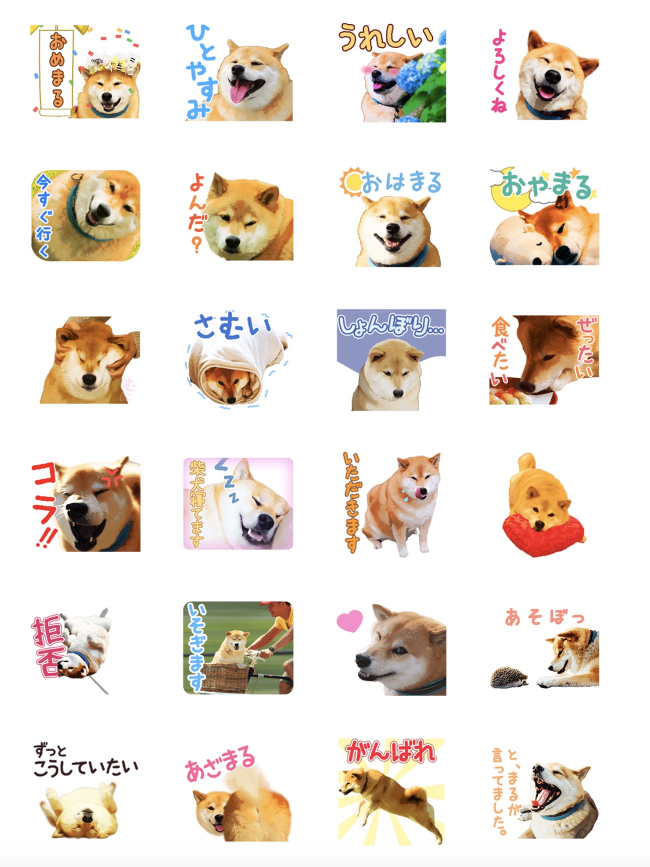柴犬まる No Twitter 新しいlineスタンプ発売されたよ みんな使ってみてね 柴犬まるアニメーションスタンプ T Co 2ist5jzxcl T Co Wnjz8f7k2t Twitter