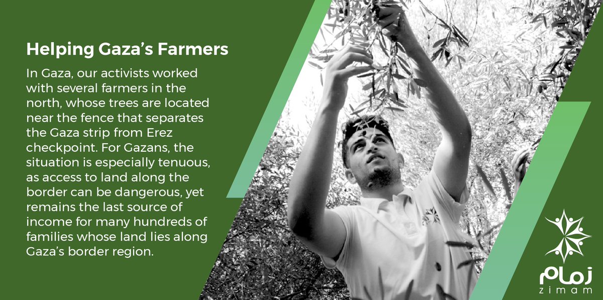 Zimam believes that the farmers should feel secure and safe when cultivating and picking olives, which is why we carried out several events in support of farmers in the #WestBank and #Gaza throughout the olive season.

Read more in our 2018 Annual Report: bit.ly/Zimam2018