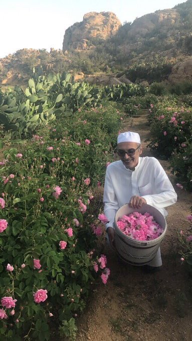 al_bder's tweet photo. إزرعيني ورد .. جرديني سيف
فجري حُبك في ضلوعي سيَّل

#بدر_بن_عبدالمحسن https://t.co/2nUEGVKArq