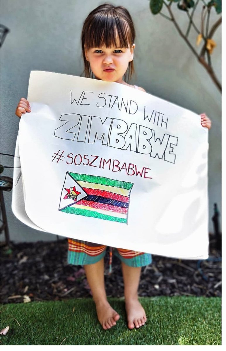 #soszimbabwe #HumanRightsViolations #WhileTheInternetWasOff #ZimbabweShutDown