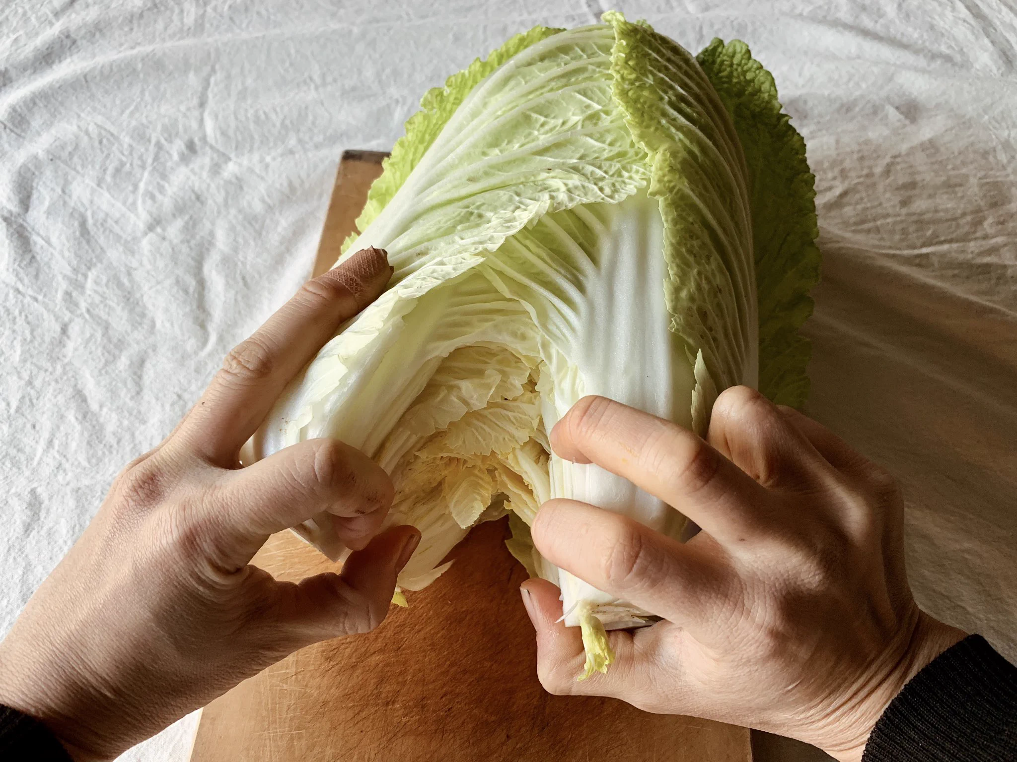 まさかの方法で？？煩わしかった白菜の正しい扱い方に目から鱗