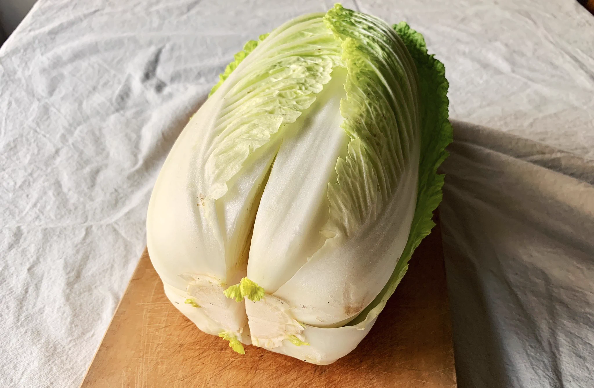 まさかの方法で？？煩わしかった白菜の正しい扱い方に目から鱗