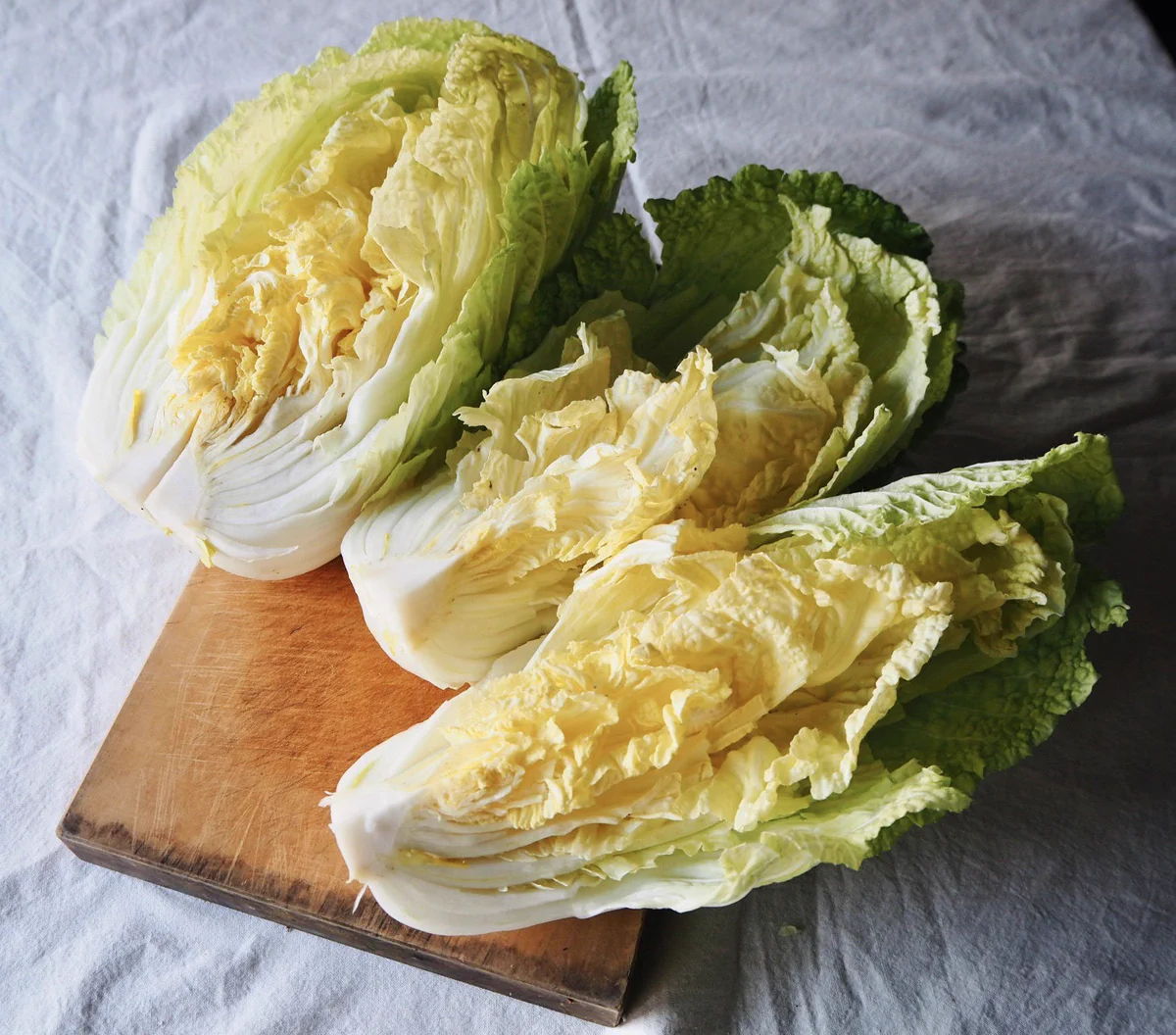 まさかの方法で？？煩わしかった白菜の正しい扱い方に目から鱗