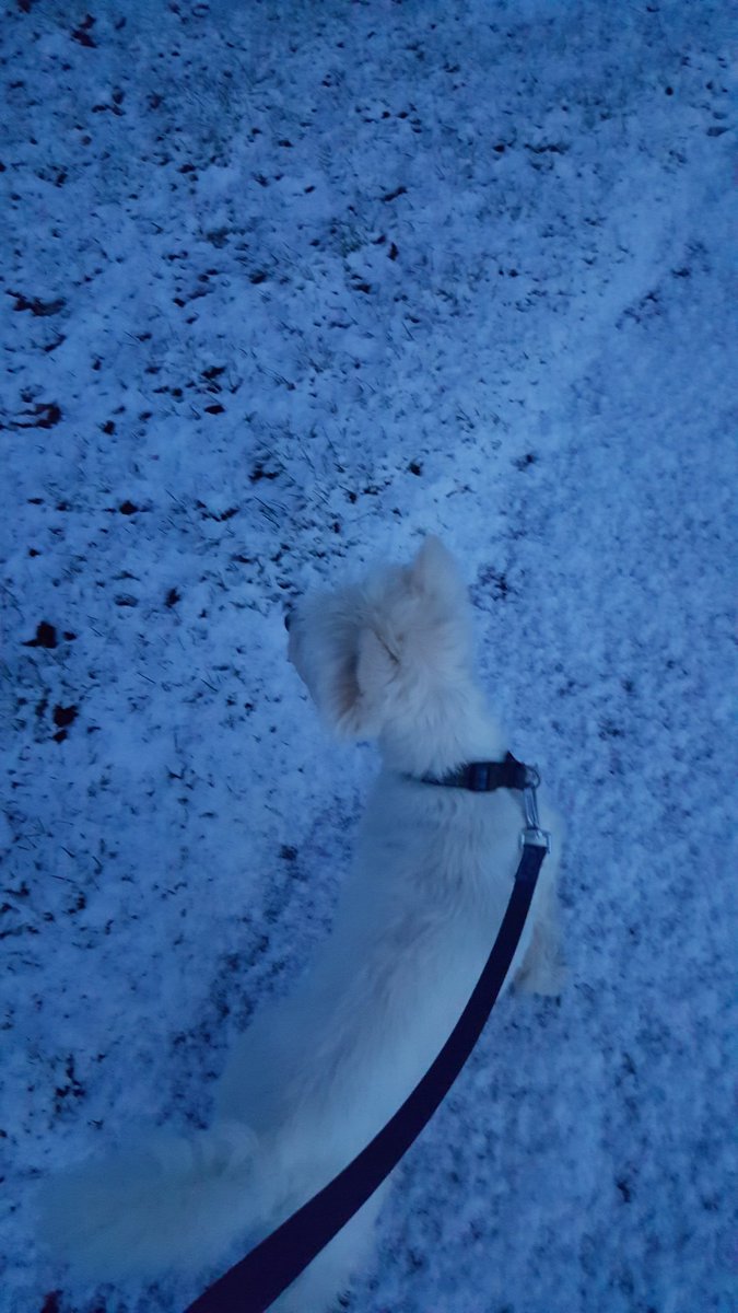 Wonderful early walk this morning! 😊❄ 😊