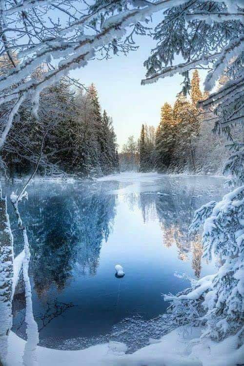 AnneEventsCo's tweet photo. Azul hielo❄️ Dorado Cálido 💛 #MagicWinter😍 #Miercoles 🌨️💜❄️ @margaquiros @gmales74 @sabela11n @loroma61 @sovimon74 @Oropell1 @RUBYELENA1 @DelfinaMonfort @montesdeocapl @ToniGutiFoto @carolfanucci1 @eukene610 @celesgalan64 @JCDAtrasto @sobrino_antonio @_paisajista @GustafPete https://t.co/FdRBcvTnSw