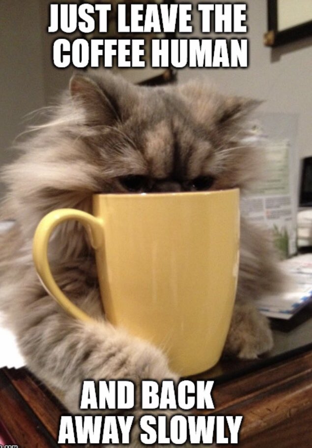 It’s always ☕️ time here! #ruislip