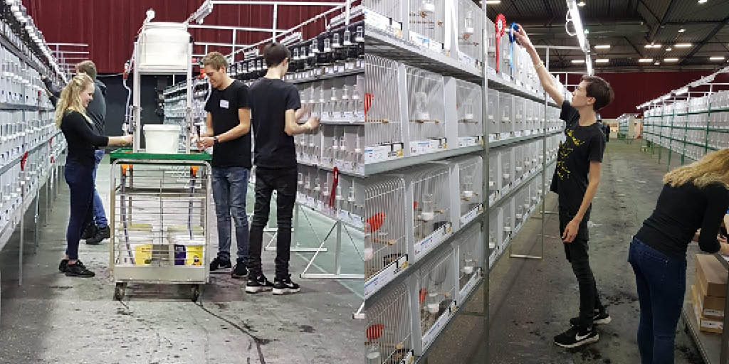 mbo_zone's tweet photo. Bijna 100 studenten van verschillende opleidingen hielpen van 10 tot 13 januari mee om de @MondialZwolle tot een succes te maken! Lees er hier meer over: https://t.co/7cB3sT3dRG. https://t.co/ejkOAp8rD5