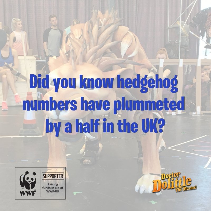 Doctor Dolittle The Musical tweet media