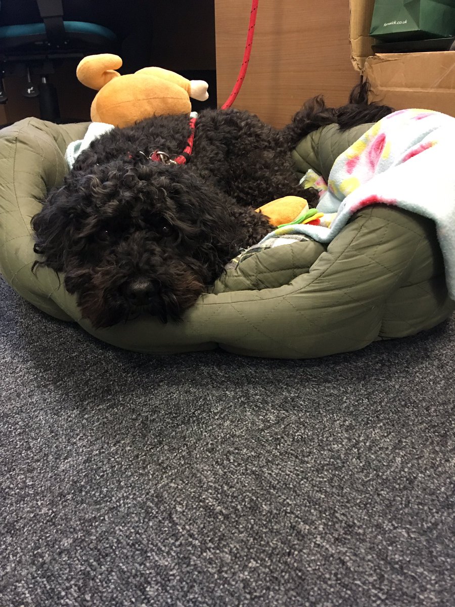 clients_at_splf's tweet photo. Our work experience helper for today! https://t.co/2wEU0IYE99