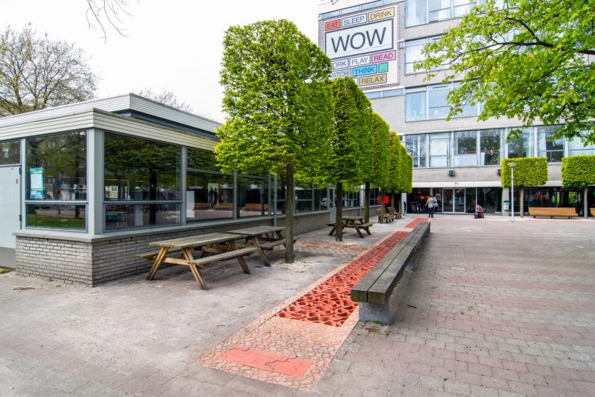 “Het patroon is mooi en het is ook nog praktisch. Eerst stond het plein regelmatig vol met water, sinds dit nieuwe ontwerp is toegepast gebeurt dat niet meer. Ik zie echt wel verschil!” zei een werknemer van <a href="/WOWamsterdamNL/">WOW Amsterdam</a> over dit mooie project in Amsterdam met de Flood-tegels!