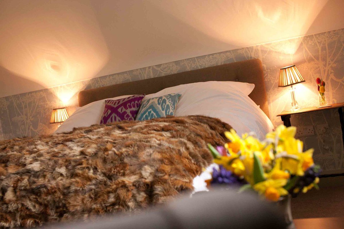 TheHolidayCots's tweet photo. Nestled on a stunning 1,000 acre estate, you're guaranteed peace &amp; quiet at Whitehill Cottage. With glimpses of red squirrels &amp; deer in the garden this is a #wildlifelovers paradise! 🦌

📍Fermanagh
https://t.co/bLiUW14NJJ

#DiscoverNI #BeautifulCottage #WildlifeWednesday https://t.co/tkXhIoZPr8