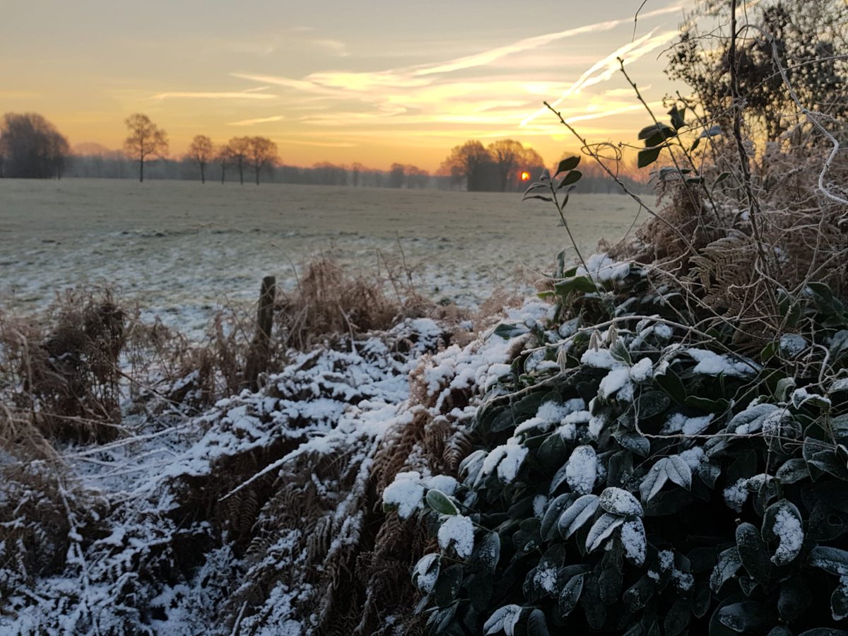 rosvantwente's tweet photo. Winter bij Het Ros van Twente! Tijdens uw verblijf heeft u ook mogelijkheid om een wandeling te maken in onze tuin &amp; te genieten van de natuur. Om vervolgens bij de haard weer heerlijk op te warmen.

Bekijk hier ons Fris &amp; Fruitig arrangement: https://t.co/d5W6eKqdsb https://t.co/g1loScHSdk