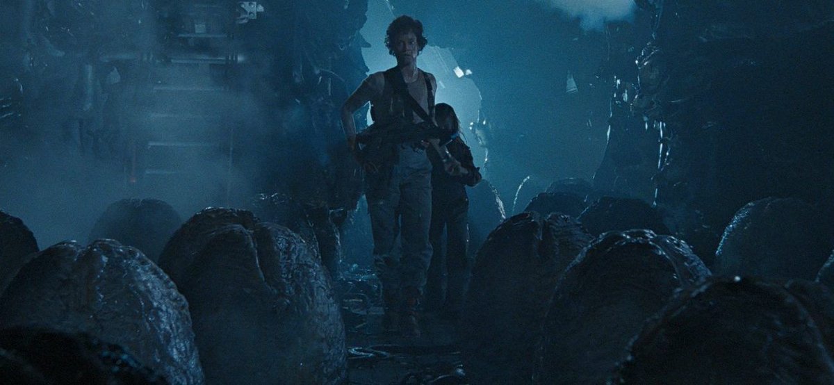 OnePerfectShot's tweet photo. ALIENS (1986)

Cinematography by Adrian Biddle
Directed by James Cameron
The most beautiful shots from this franchise: https://t.co/kGGU6PNEV4 https://t.co/5IyxyiM5sI