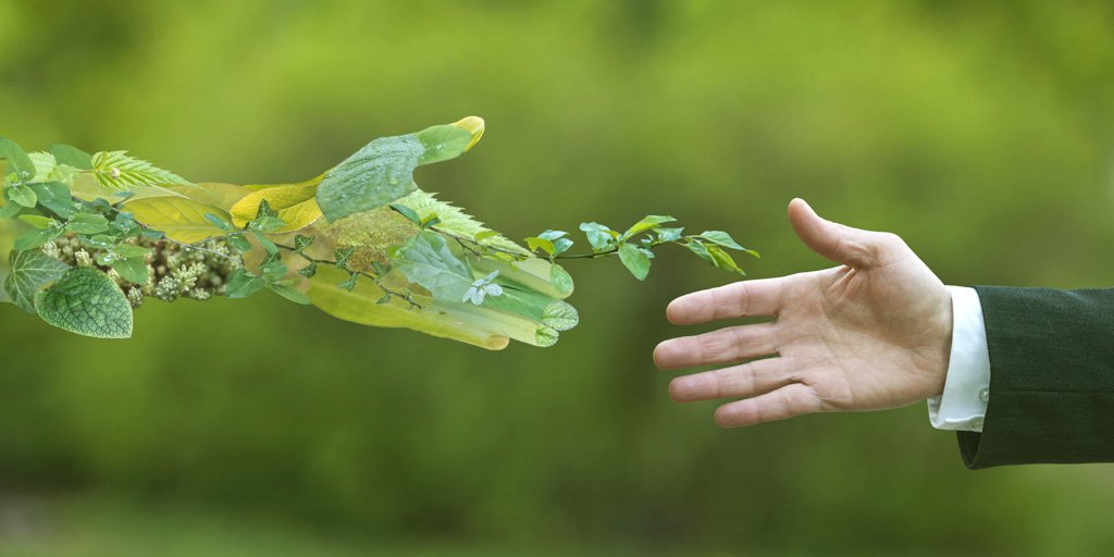 welever_ES's tweet photo. Descubre unas recomendaciones muy útiles para que tu empresa sea más sostenible. 😉😊
➡️➡️➡️https://t.co/mwr4LBOlXs

#Welever #WeleverSustainability #sostenibilidad #empresa #empresas #pymes #startup #tips https://t.co/6tBJpE6q8P