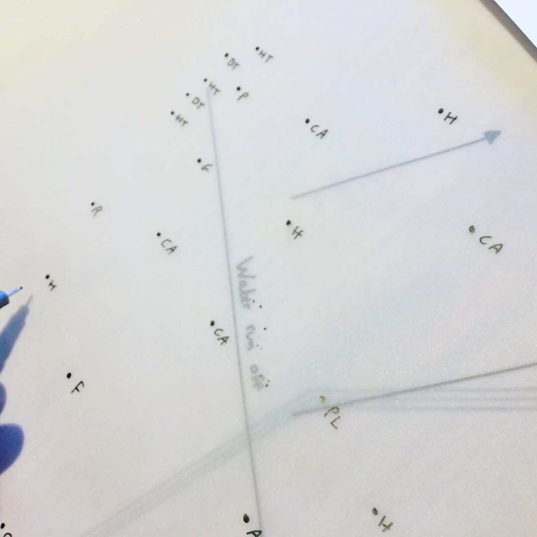 The Food Forest Project tweet media