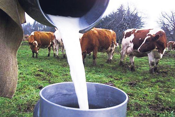 RadioSago's tweet photo. Leche: Se rechaza salvaguardia pedida por Fedeleche https://t.co/7GQrpjlNpD https://t.co/xs6ld9K8wL