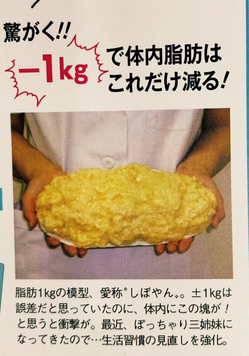 脂肪模型 3kg IP-972 - www.boltonoptical.com
