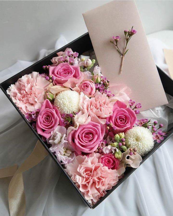 liil__0's tweet photo. حين يجتمع : الوفآء والتميز
لا يسعنا سوى الشكر والعرفان 🍃🌸
💐  تحت مسمى الاناقہ والفخر بمعرفتكم 

━━━•🍃☁️🍃•━━━

☁️| @_sa__l
☁️| @QZ0Oo
☁️| @xxbbnnx
☁️| @1__5ll
☁️| @m_f_s112
☁️| @mjrdmzaj7
☁️| @_nan_aa
☁️| @1__9j

#قروب_غيم_للدعم https://t.co/NCZoAYnyzd
