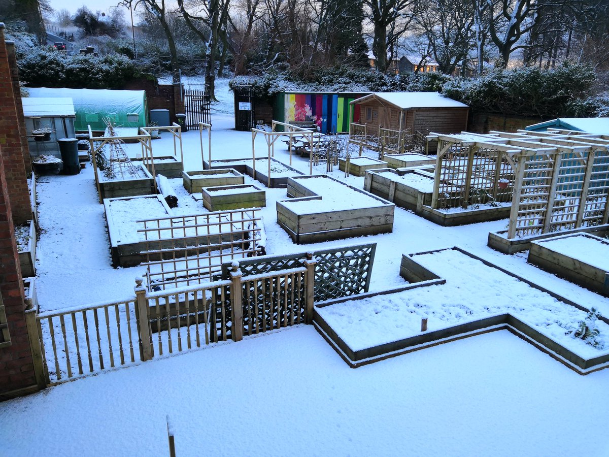 Good Morning from Glenbank Cross Community Garden Belfast ☃️☃️☃️☃️