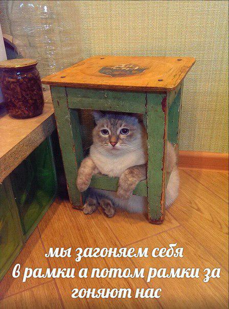 Russian Memes United tweet media