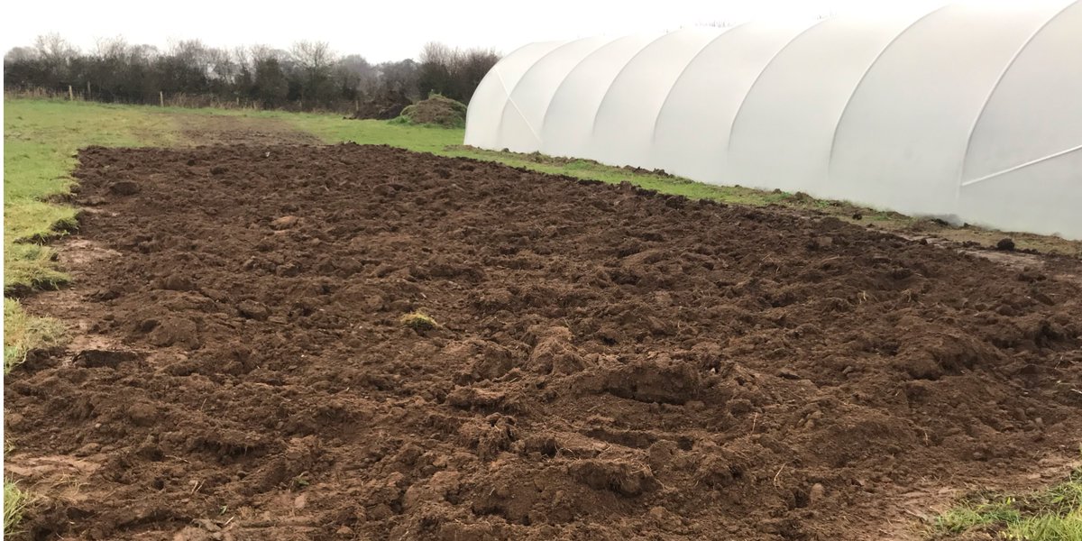 The first step towards our next polytunnel.
