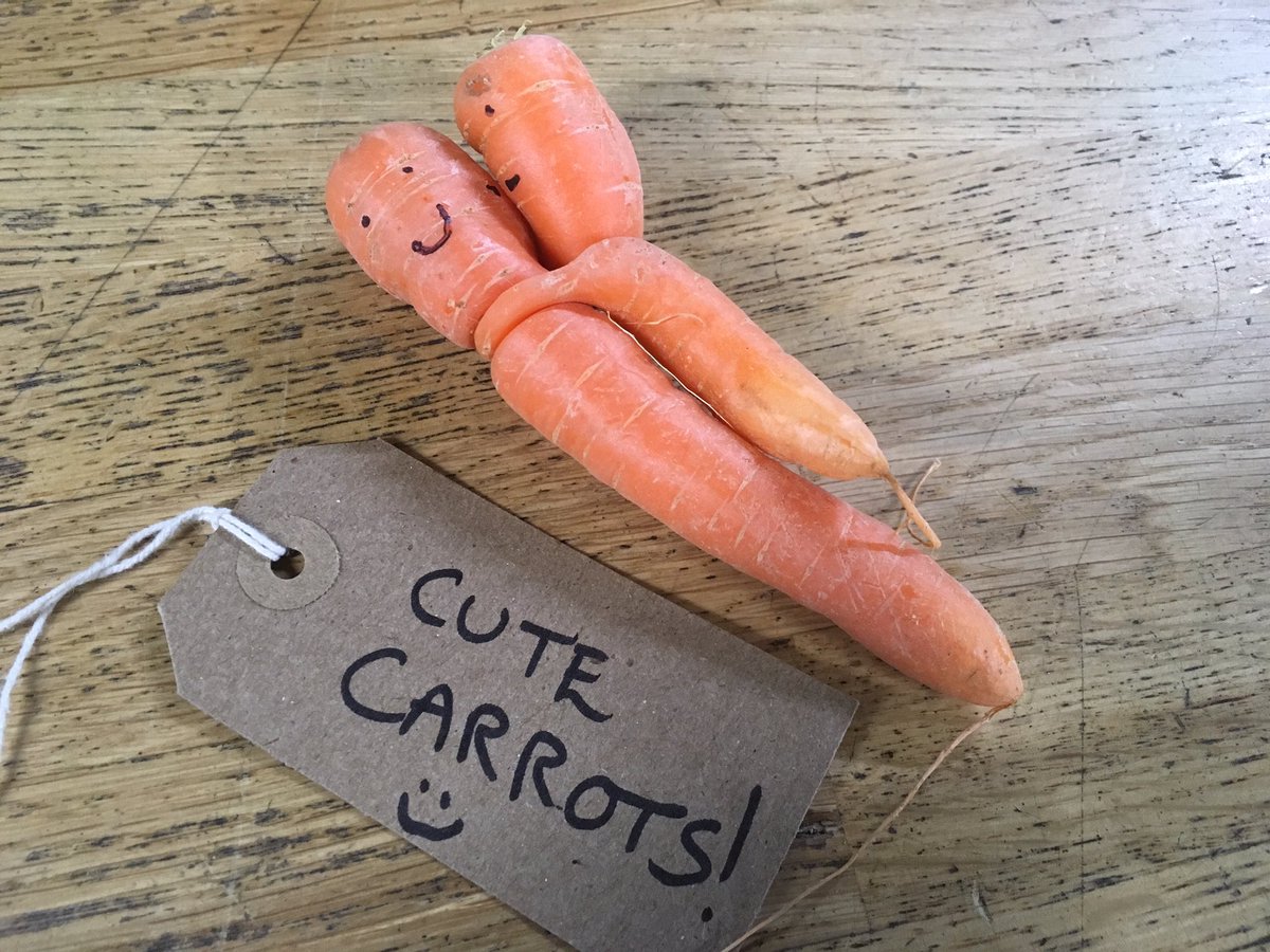 Enough of the rude veg let’s have some ‘Cute Veg!’