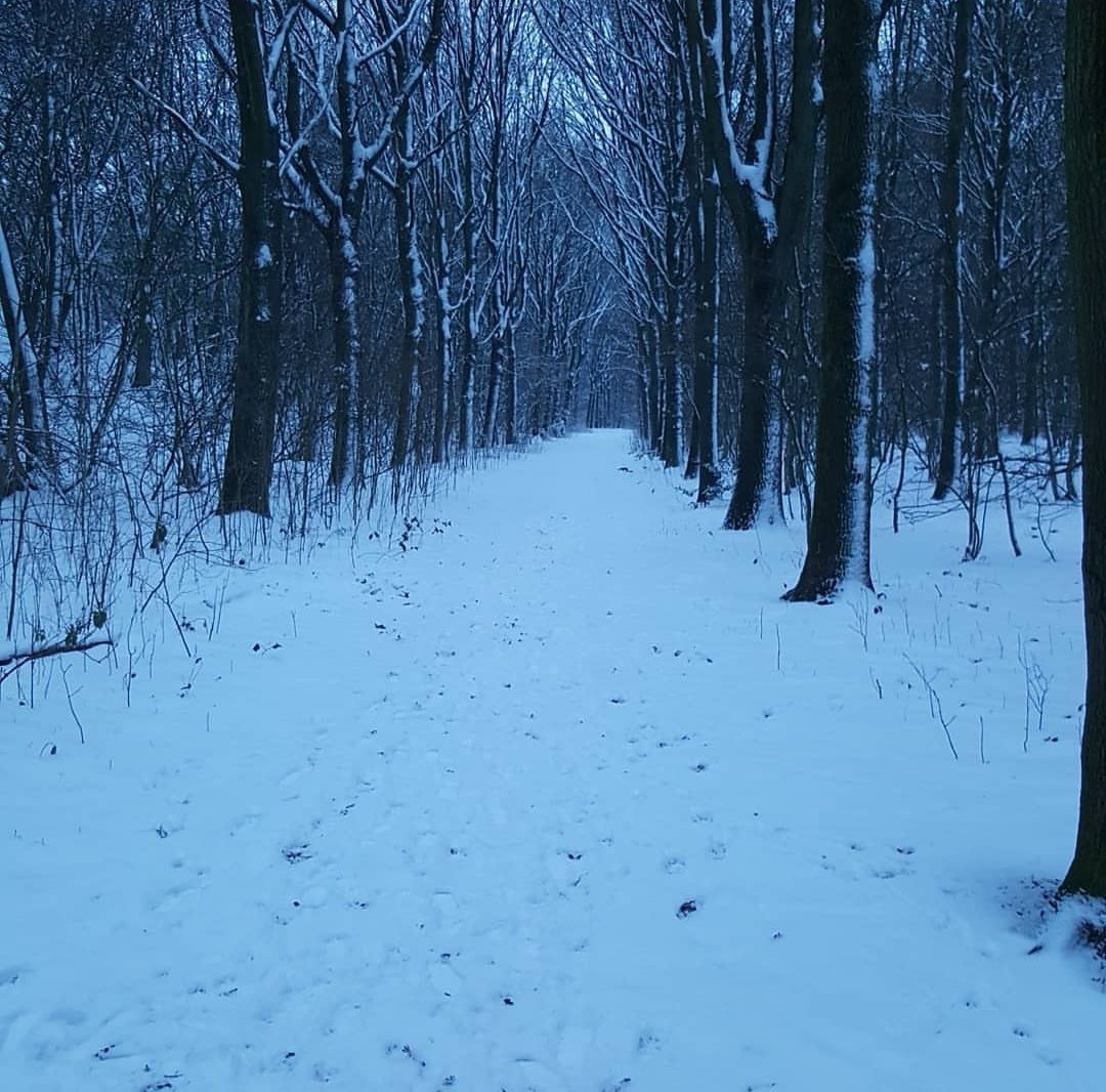 Winter #zwolle #home #snow #sneeuw