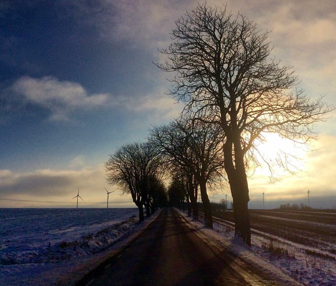 SvenskVagguide's tweet image. #Dagensfoto en lite #kall men vacker #Januaridag i södra #Sverige ❄️