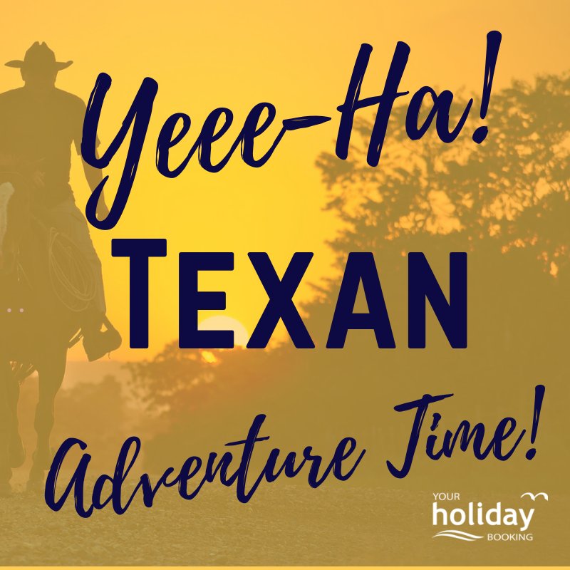 Your Holiday Booking tweet media