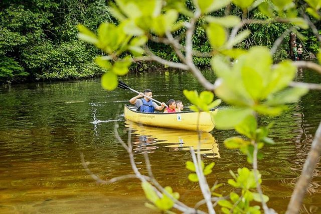 PraQueRumo's tweet photo. É preciso conhecer para preservar.

No dia 27 de Janeiro o Parque de Aventuras da @ecoforestadventureoficial estará realizando a 5° Edição do Adventure Kids.

Este evento é realizado duas vezes ao ano, possibilitando pais e filhos vivenciarem um dia, de forma segura, em cont… https://t.co/CrIj8I3la3