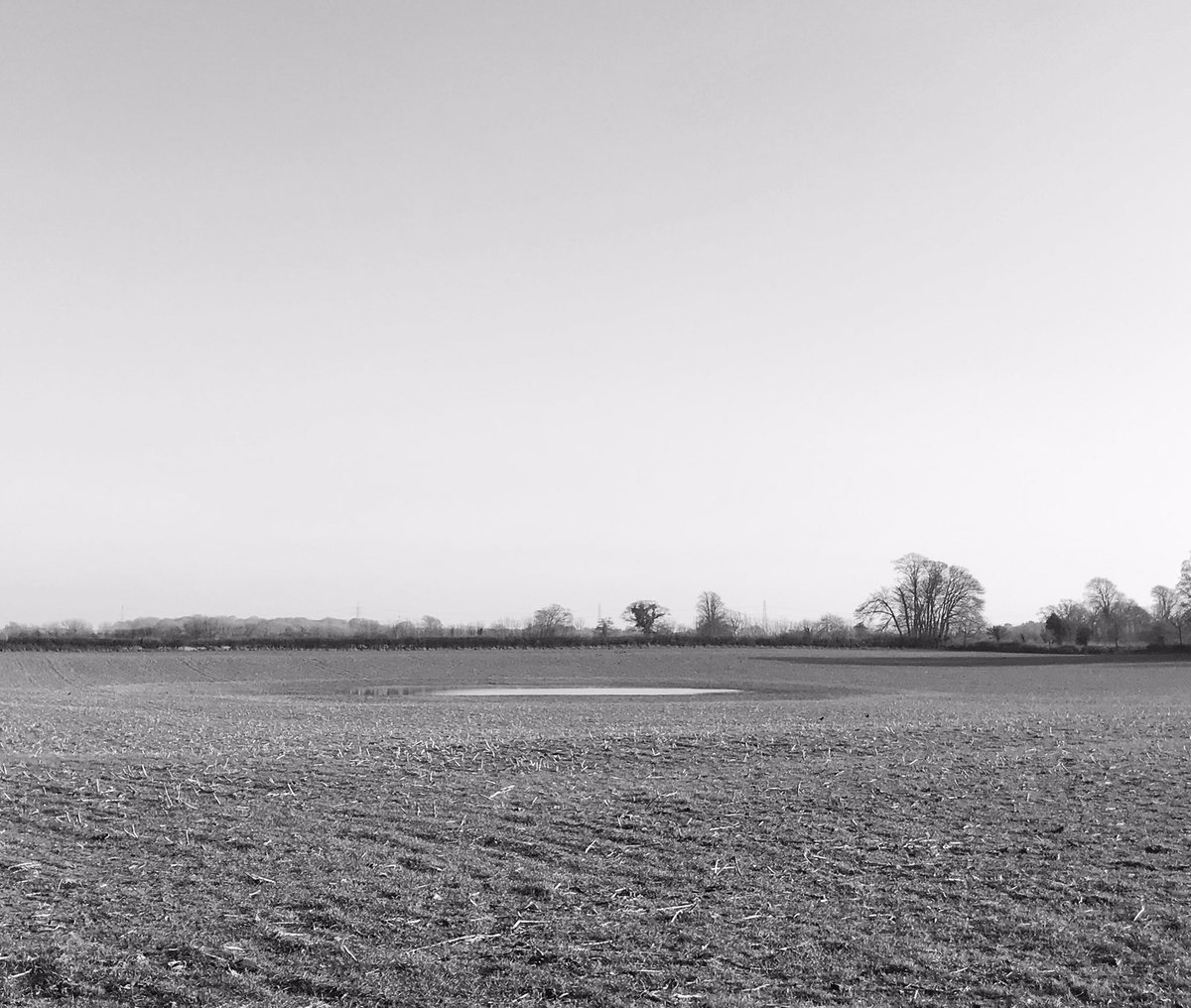 Field and Water. West Stafford, Dorset. 2019
#landscape #field #blackandwhite #dorset
