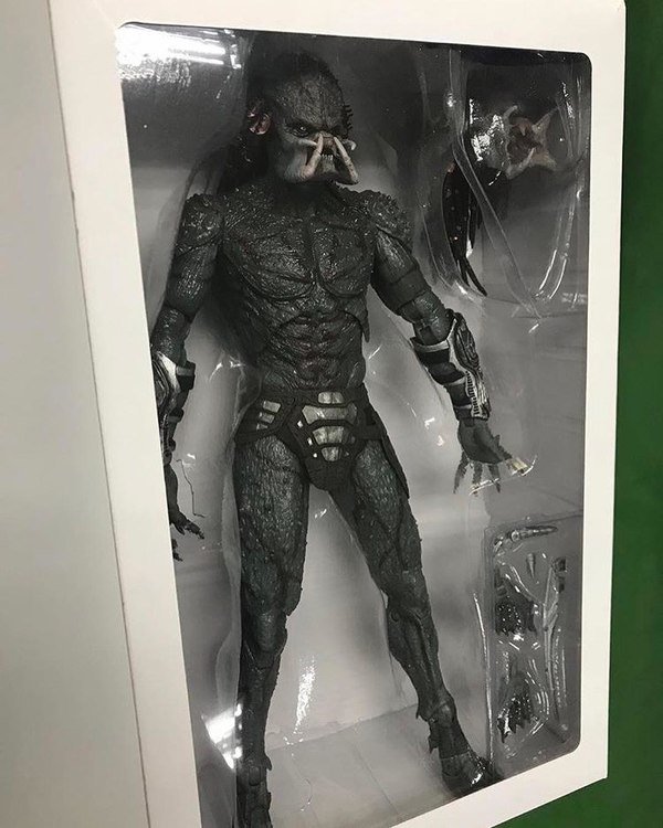 ToyNewsInterna1's tweet photo. New @Predator #AssassinPredator Figure Images From @NECA_TOYS
https://t.co/jF6WVlKXPv https://t.co/Oe5AIO6Fm9