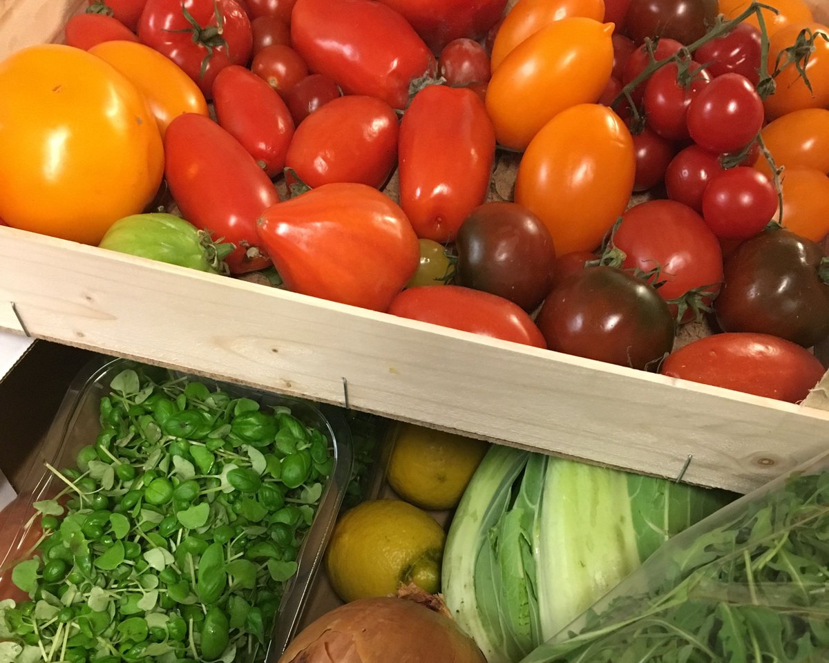 ThreeHShoes's tweet photo. Our chefs love our #locallysourced fresh veg delivery. The vibrant colours taste as good as they look! #threehorseshoesthursley #freshveg #vegetarian #vegan #tomato #microbasil #rocket #heritagetomatoes #heirloomtomatoes #cabbage #pubfood #freshfood #publunch #dinner #vegetables https://t.co/nCiUb17dTY