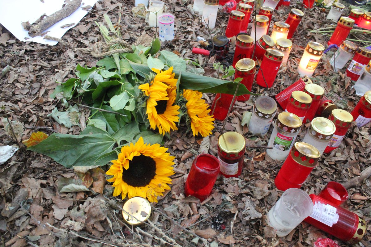 R_mediabase's tweet photo. Die Räumung wurde nach dem tödlichen Unfall unseres Freundes und Kollegen Steffen Meyn @Vergissmeynnic1 am Mittwoch den 19.9. gegen 15:46 Uhr offiziell ausgesetzt... #Fotos #Räumung #hambibleibt #hambacherforst #Beechtown https://t.co/uEDNuoOTTZ